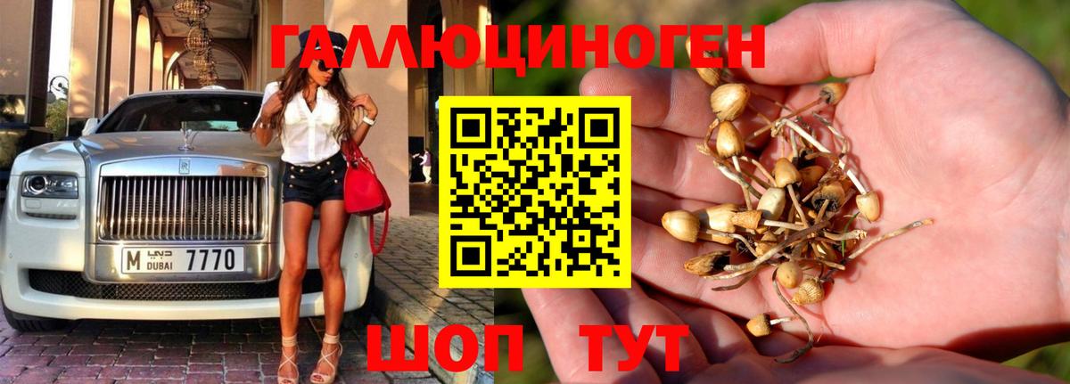 Галлюциногенные грибы мицелий Соль-Илецк